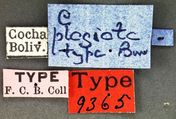 Media type: image; Entomology 9365   Aspect: labels
